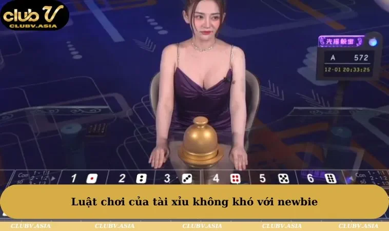 Luật chơi của tài xỉu không khó với newbie